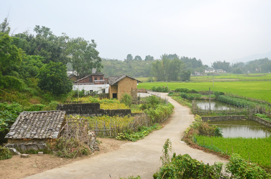 乡村道路