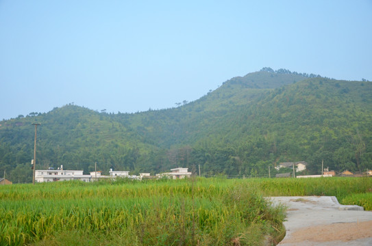 广东农村