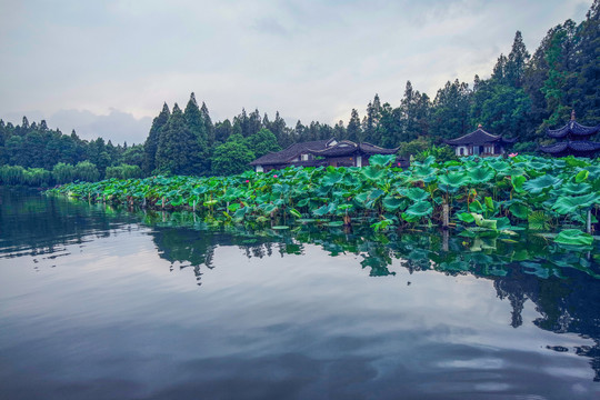 西湖美景