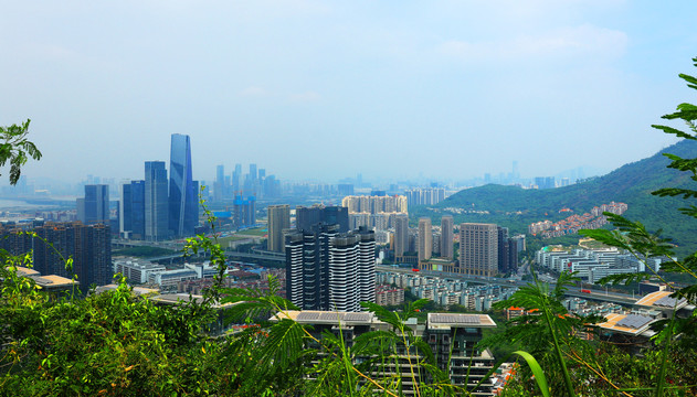 森林城市高楼建都市远景深圳南山