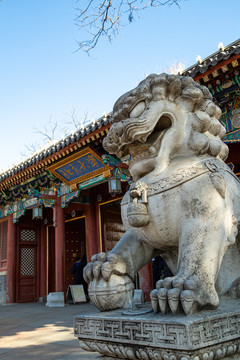 北京大学西校门石狮子