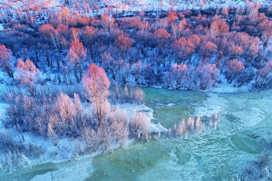雪域冰河红树稍阳晨光