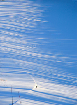 积雪背景