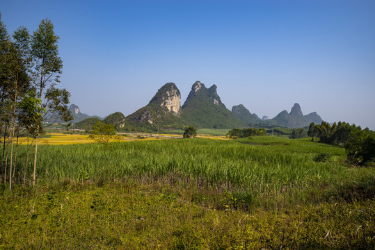 乡村风光