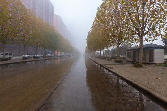 雾天的街道