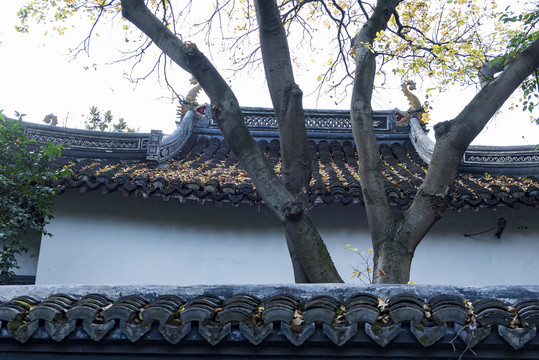 古建筑屋檐