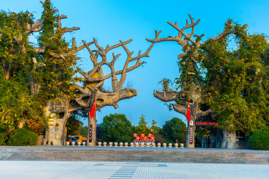 禹州市植物园