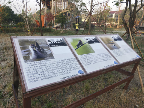 鸟类科普架