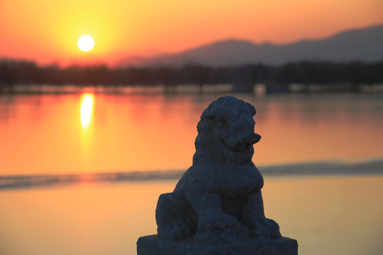 夕阳下的石狮