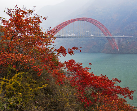 巫山红叶