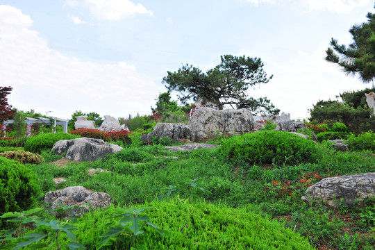 石头园林风景