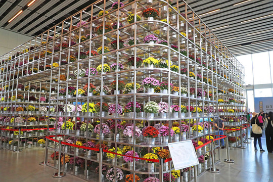 花展