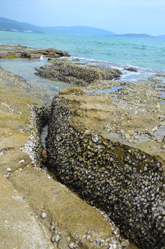 海边的礁石