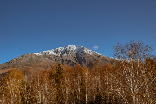 喀纳斯雪山