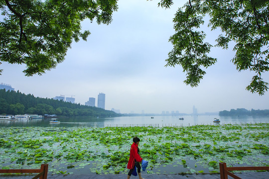 南京玄武湖