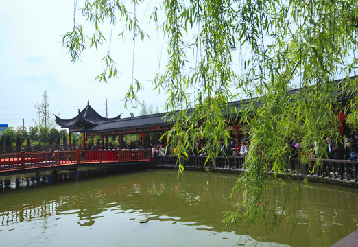 宁波北仑牡丹庄园风景