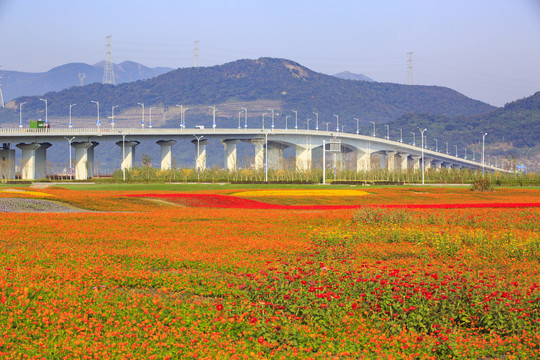 宁波北仑梅山保税区梅山大桥美景