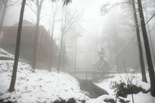 宁波奉化商量岗度假村雪景