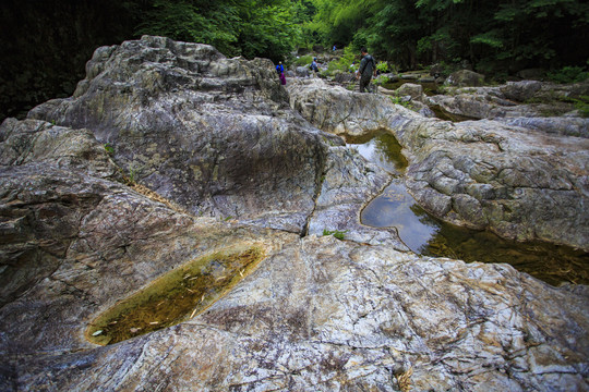 宁波宁海县黄坛县双峰国家森林公园美景