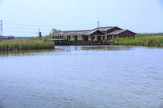 杭州湾湿地