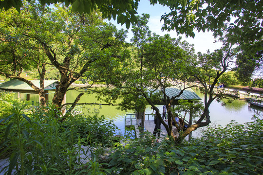 宁波江北慈城绿野山庄美景