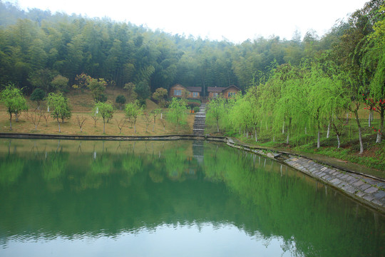 宁波江北慈城绿野山庄美景