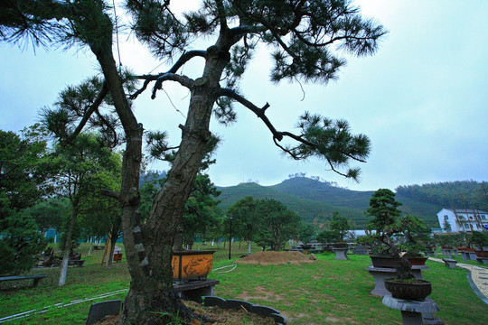 宁波江北慈城绿野山庄美景