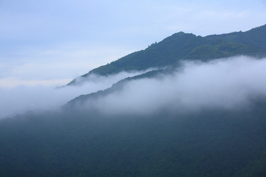 四明山森林公园