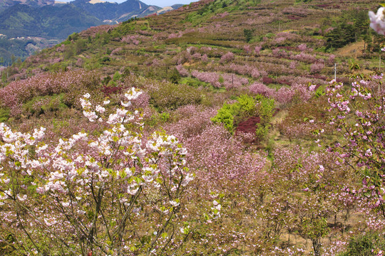 杖锡风景区