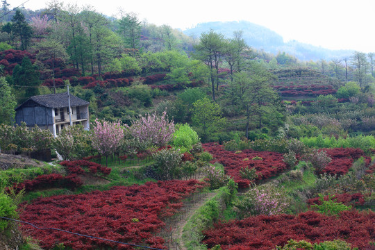 宁波海曙章水镇杖锡风景区风光