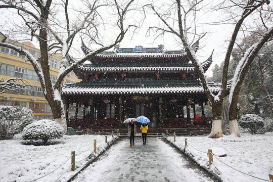 中山公园雪景