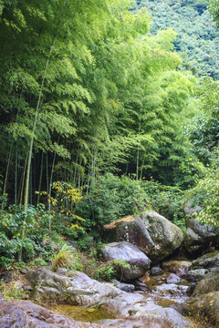 宁波海曙中坡山森林公园