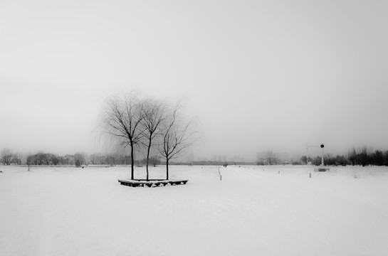 雪景