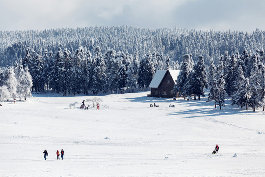 重庆武隆仙女山雪景