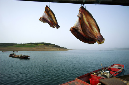 库区渔民晾晒的干鱼