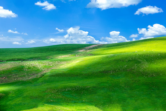 草原天路山地牧场