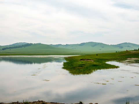 草原湿地