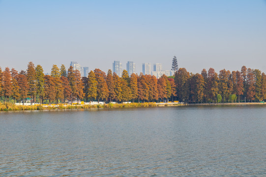 武汉东湖风景区深秋风光