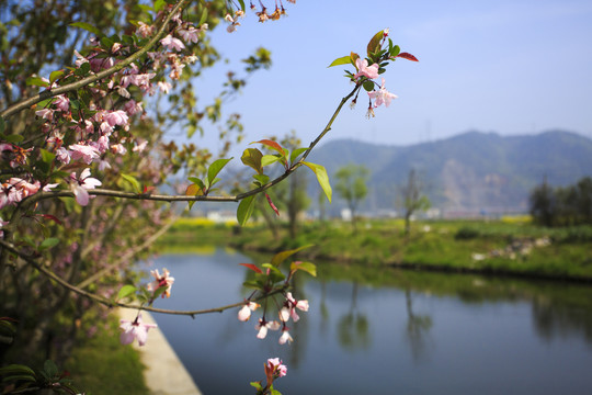 三胜河风景