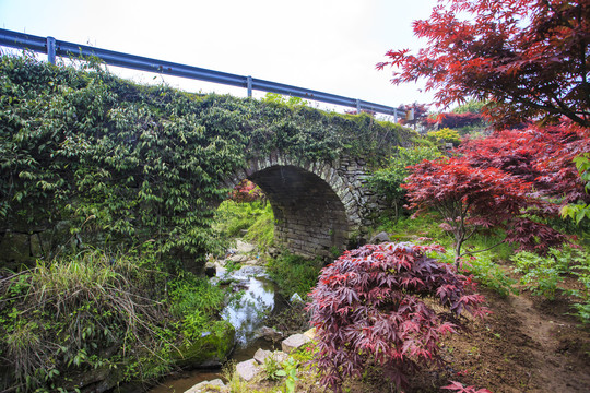 杖锡村鹿窠洞桥