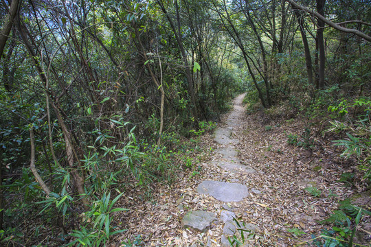 鄞江镇金陆村清修湖古道