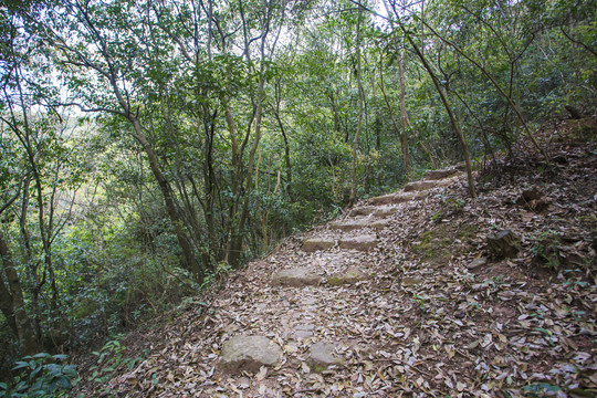 鄞江镇金陆村清修湖古道