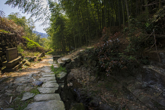 四明山村水井底古洞桥