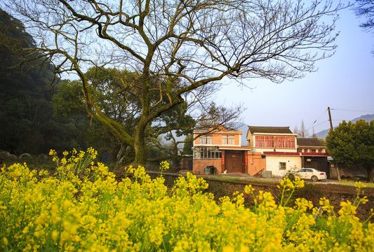 宁波鄞州咸祥镇芦浦村乡村风光