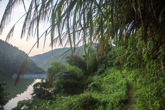 青山岭古道