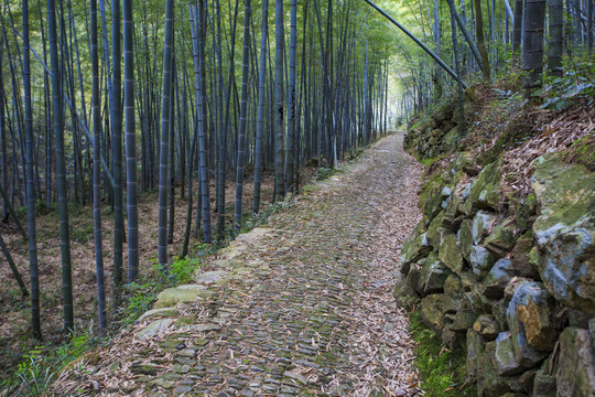 黄泥岭古道