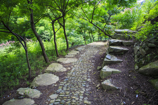 黄泥岭古道