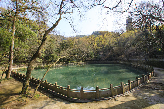 天童寺放生池