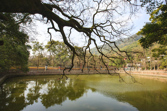 天童寺放生池