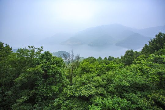 宁波鄞州横溪金鹅湖美景